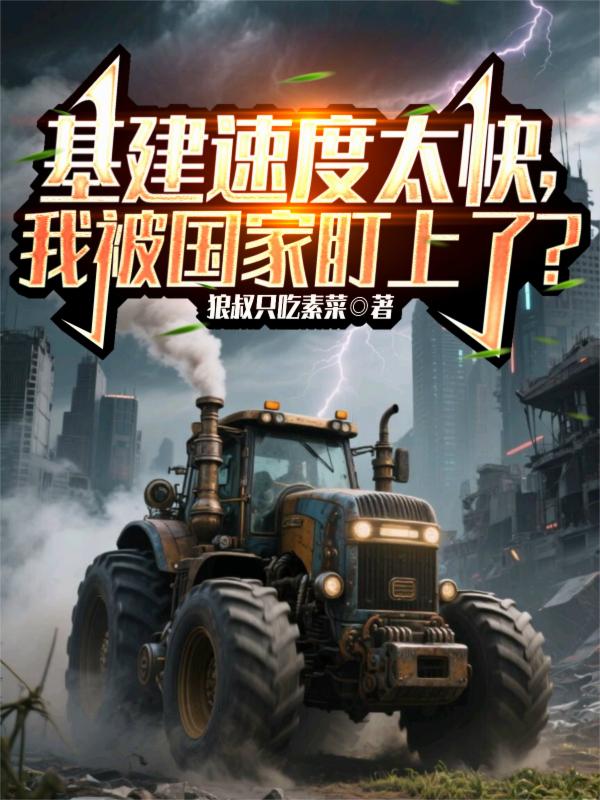 基建速度太快我被国家盯上了