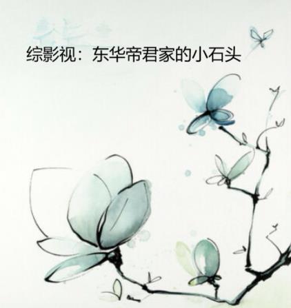 综影视东华帝君家的小石头